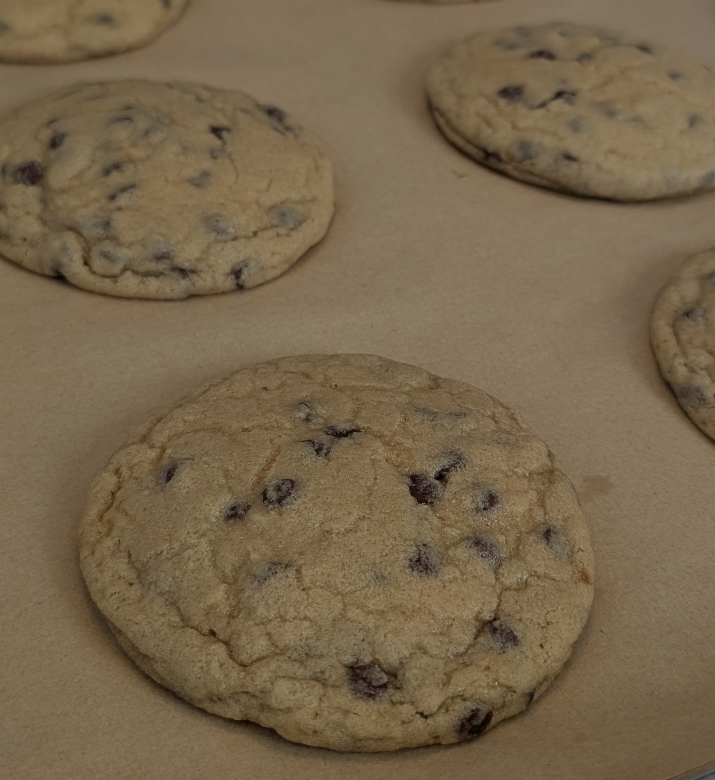 Vegan Chocolate Chip